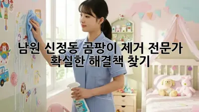남원 신정동 곰팡이 제거 전문가, 확실한 해결책 찾기